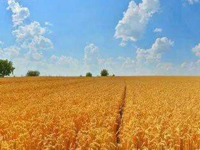 Участок продажа в Тернопольской области