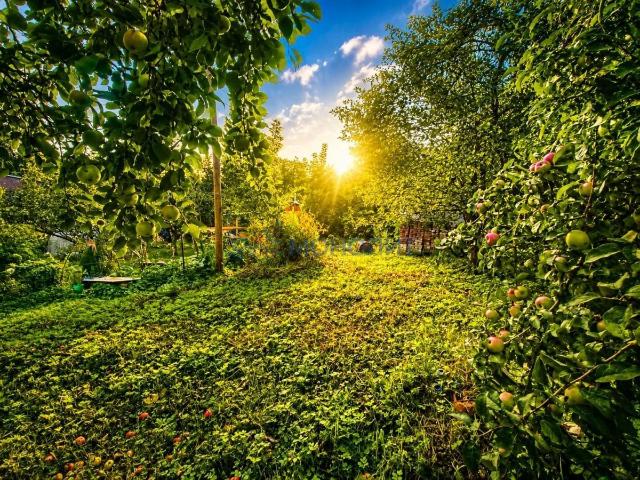 Участок продажа в Горький, Тыва Республика