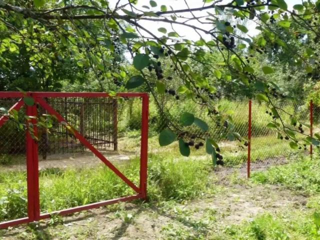 Участок продажа в Тыва Республика