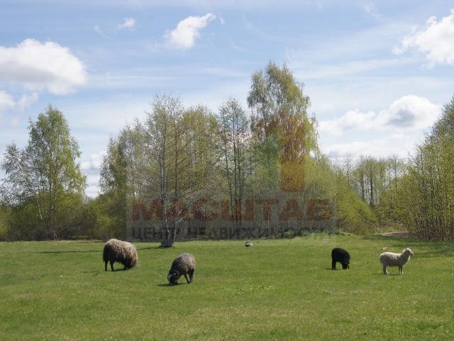 Участок продажа в Псковская область