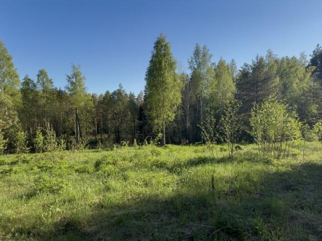 Участок продажа в Новгородская область