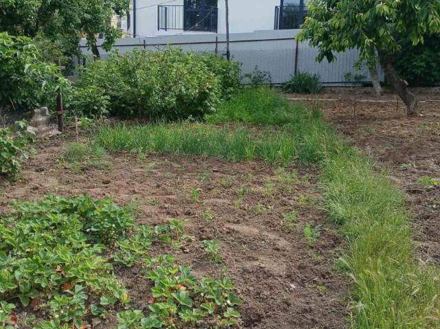 Участок продажа в Центр, Вінниця