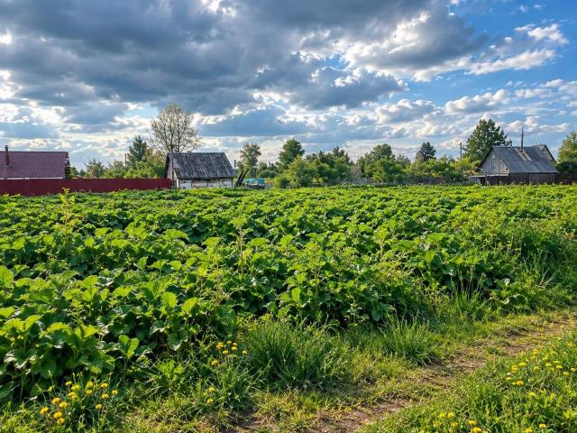 Участок продажа в Ленинградская область