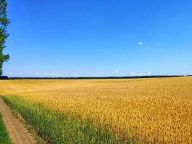 Участок продажа в Днепропетровской области