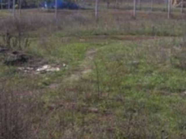 Участок продажа в Великой Балке, Днепропетровской области