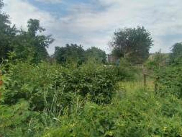 Участок продажа в Великом Дальнике, Днепропетровской области
