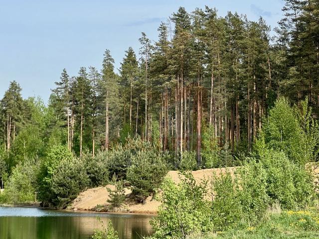 Участок продажа в Ленинградская область