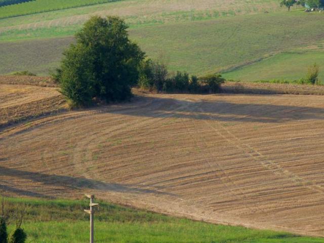 Участок продажа в Закарпатской области