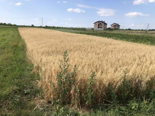 Участок продажа в Чукалівка, Івано-Франківський район