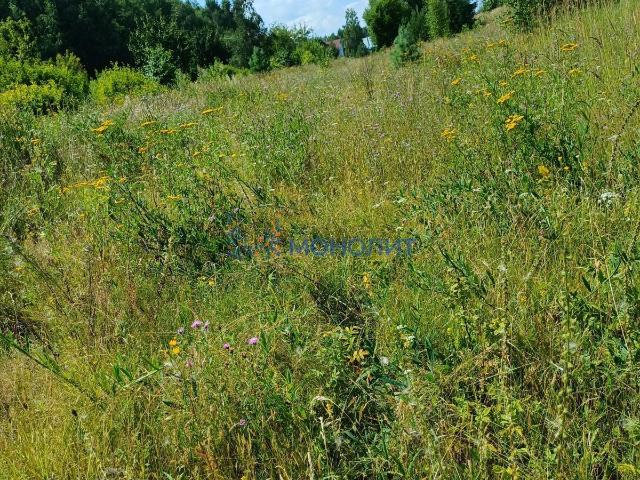 Участок продажа в Шуклино, Богородский муниципальный округ