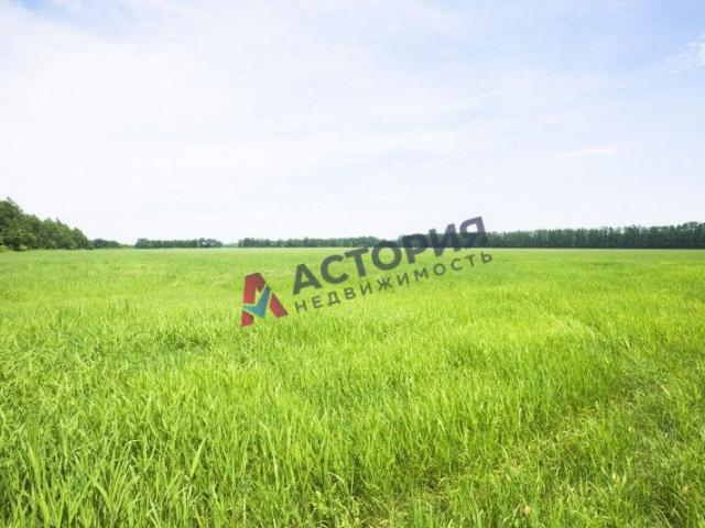 Участок продажа в Тульская область