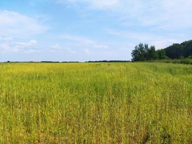 Участок продажа в Тульская область
