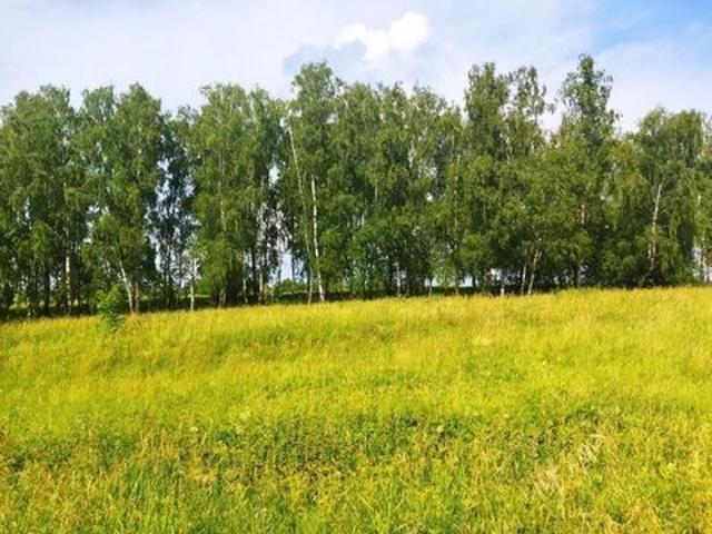 Участок продажа в Тульская область