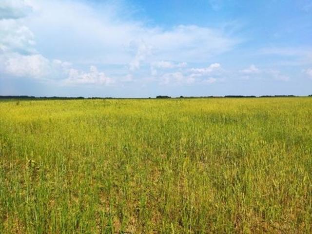 Участок продажа в Тульская область