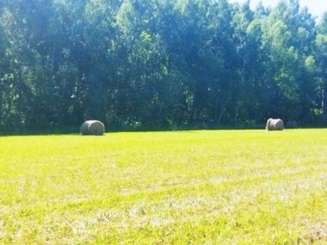 Участок продажа в Тульская область