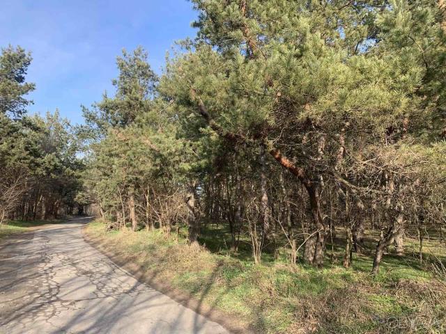 Участок аренда в Обуховке, Николаевской области