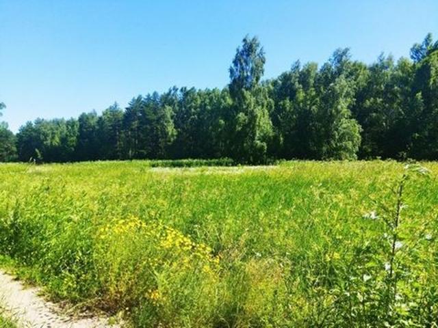 Участок продажа в Тульская область