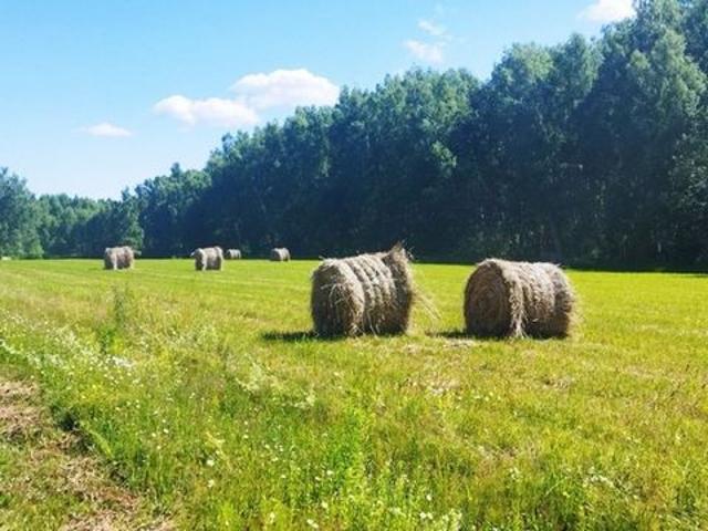 Участок продажа в Тульская область