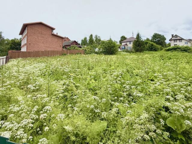 Участок продажа в Валдайский Р-н, Новгородская область