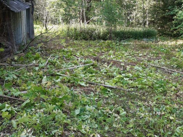 Участок продажа в Валдайский Р-н, Новгородская область