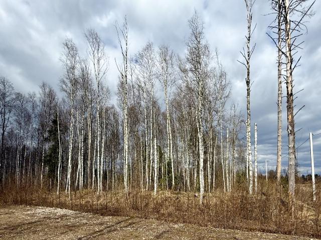 Участок продажа в Валдайский Р-н, Новгородская область