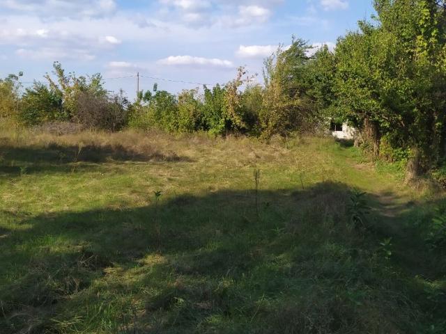 Участок аренда в Обуховке, Николаевской области