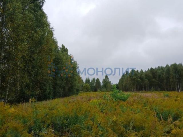 Участок продажа в Заскочиха (останкинский) Д, Тыва Республика