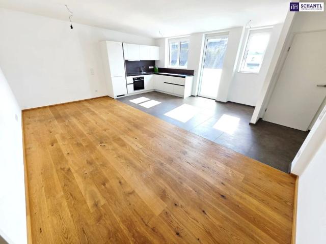 Apartment mieten in KG Margareten, Wien
