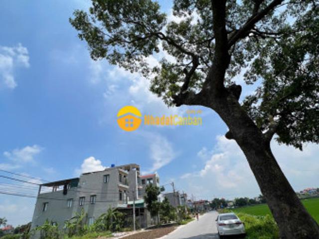 Mặt bằng bán