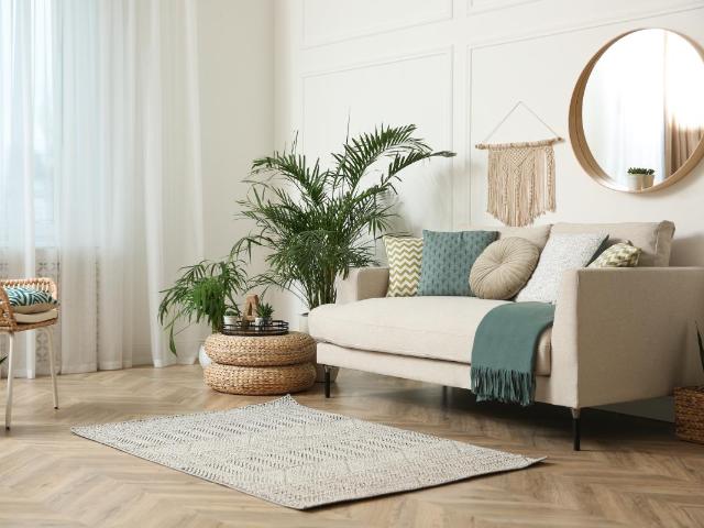 Appartement vente à Calvi