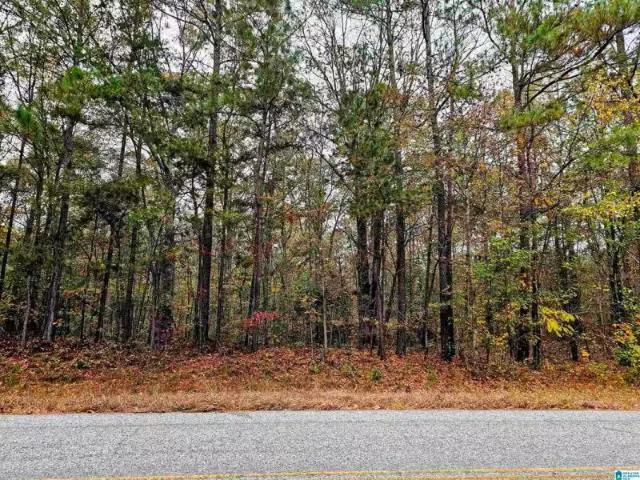 House for rent in Anniston, Alabama