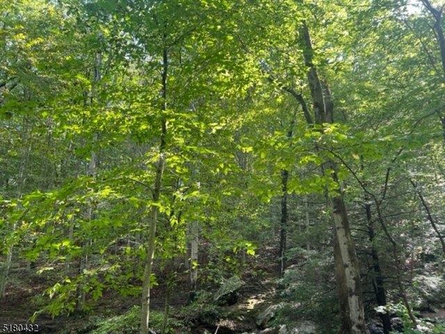 Land for sale in Mine Hill, New Jersey
