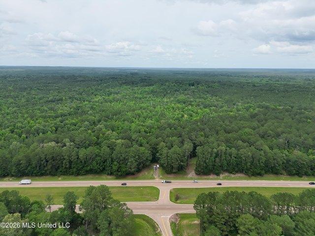 Land for sale in Braxton, Mississippi