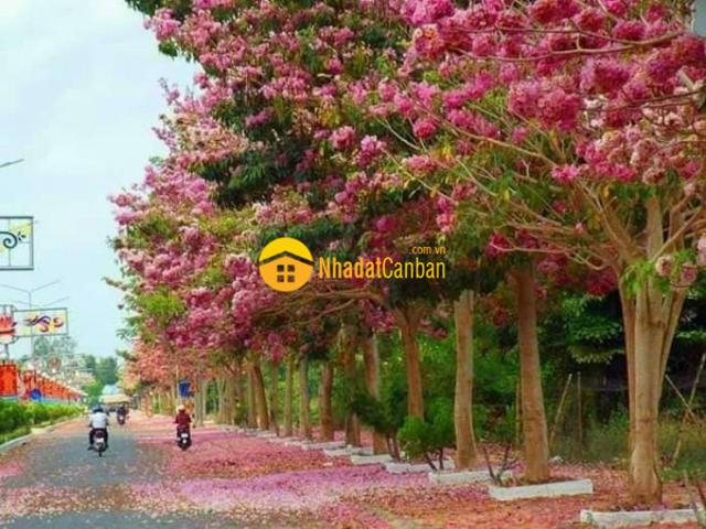 Căn hộ bán tại Đồng Nai