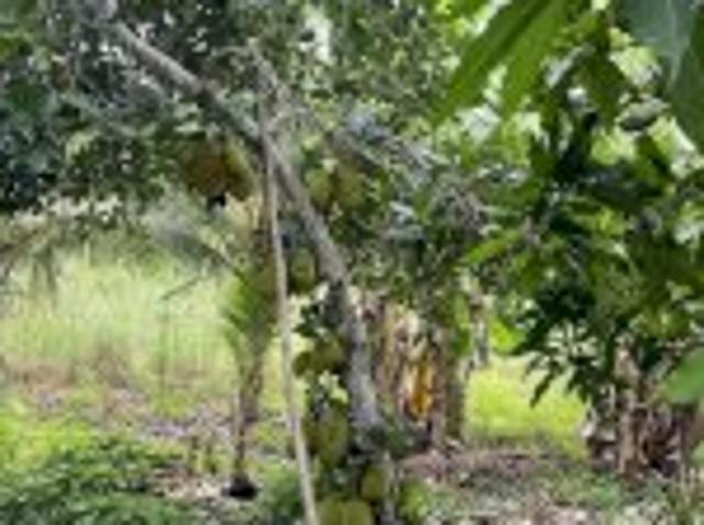 Bất động sản bán