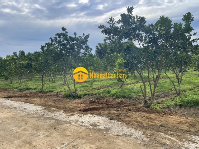 Mặt bằng bán