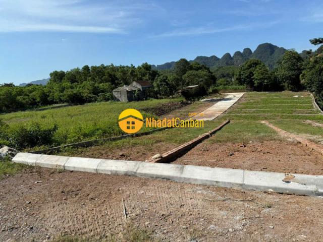 Mặt bằng bán