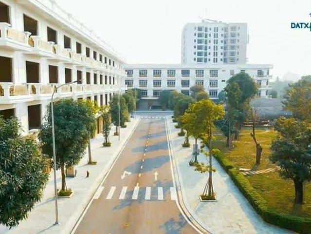 Biệt Thự bán