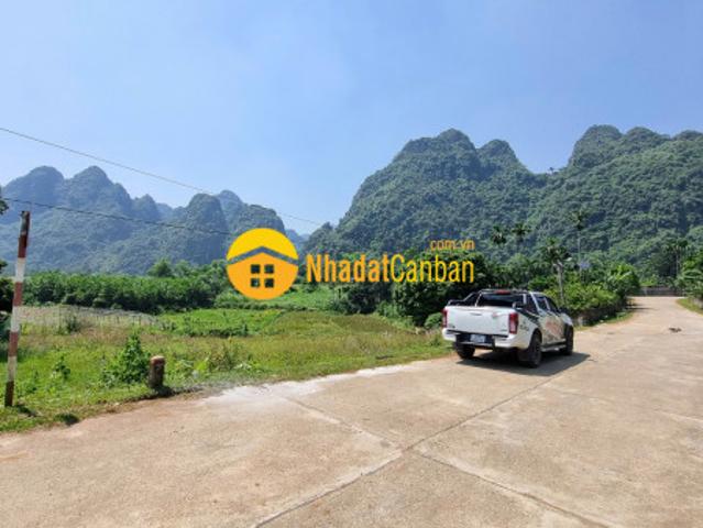 Mặt bằng bán
