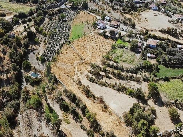 Muğla içerisinde satılık Arsa