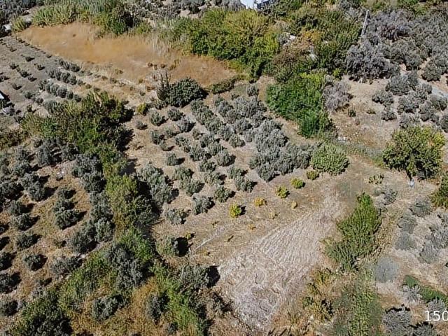 Muğla içerisinde satılık Arsa
