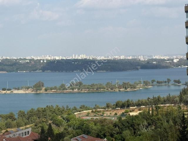 Çukurova, Adana içerisinde kiralık mülk
