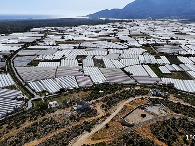Muğla içerisinde satılık Arsa