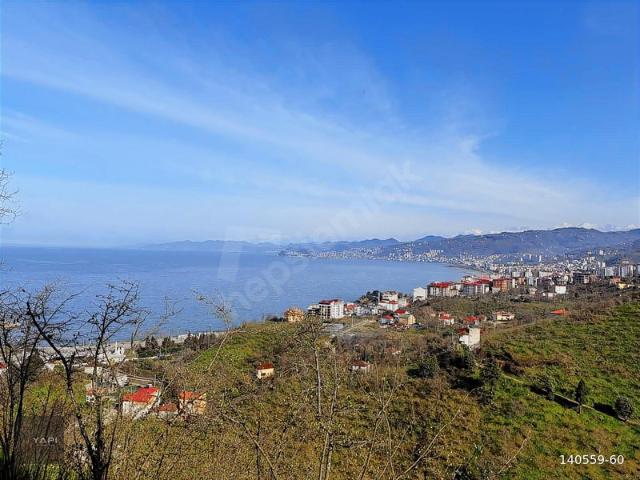 Giresun Merkez, Giresun içerisinde satılık Arsa
