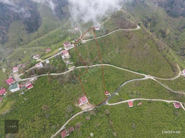 Yukarı Alınlı, Giresun Merkez içerisinde satılık mülk