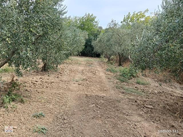 Bandirma, Balikesir içerisinde satılık Arsa
