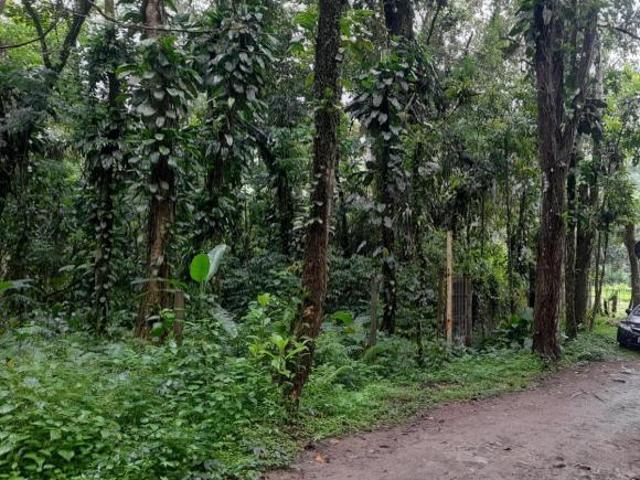 Terreno venda em Ubatuba
