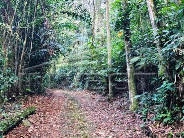 Terreno venda em Região Imediata de Caraguatatuba-Ubatuba-São Sebastião, Região Metropolitana do Vale do Paraíba e Litoral Norte