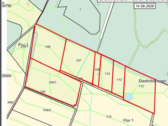 Erdgeschosswohnung kaufen in Diedrichshagen, Weitenhagen
