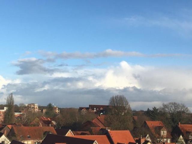 Apartment mieten in Blumlage/Altstadt, Celle